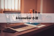 kissmeliar小说(kiss me liar小说作者)